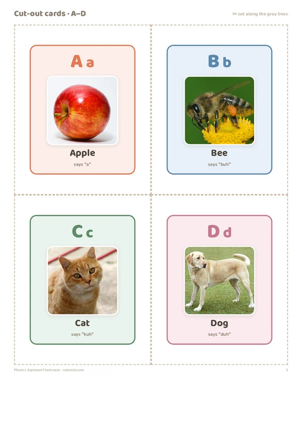 Alphabet Flashcards